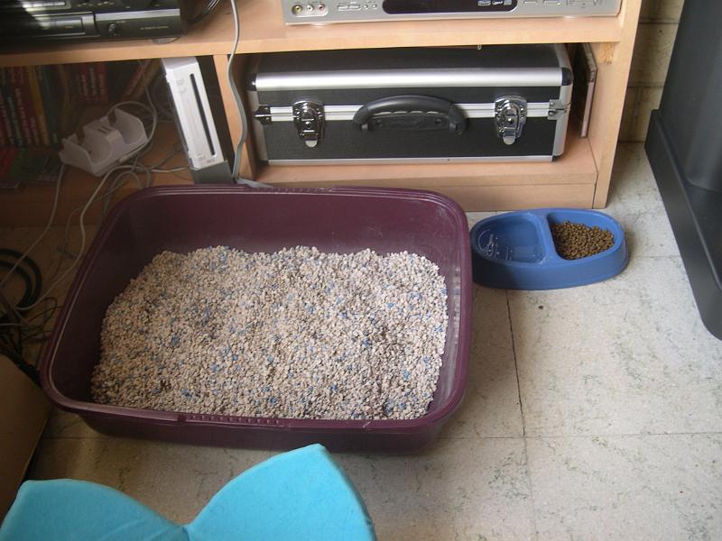 DSCN6380.JPG