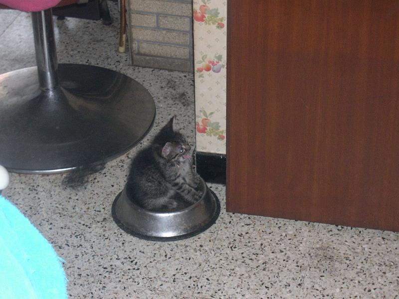 DSCN6391.JPG