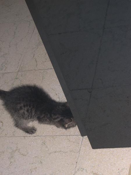 DSCN6396.JPG