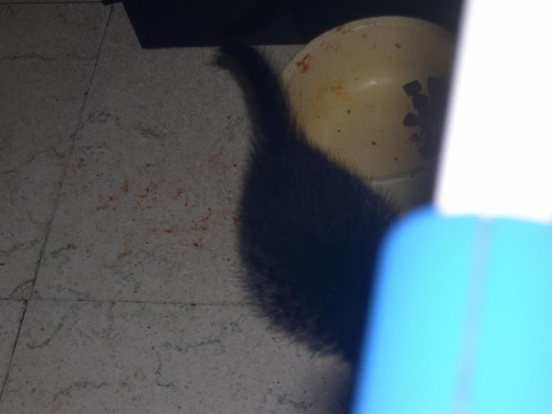 DSCN6398.JPG