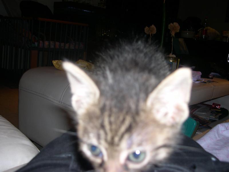 DSCN6415.JPG