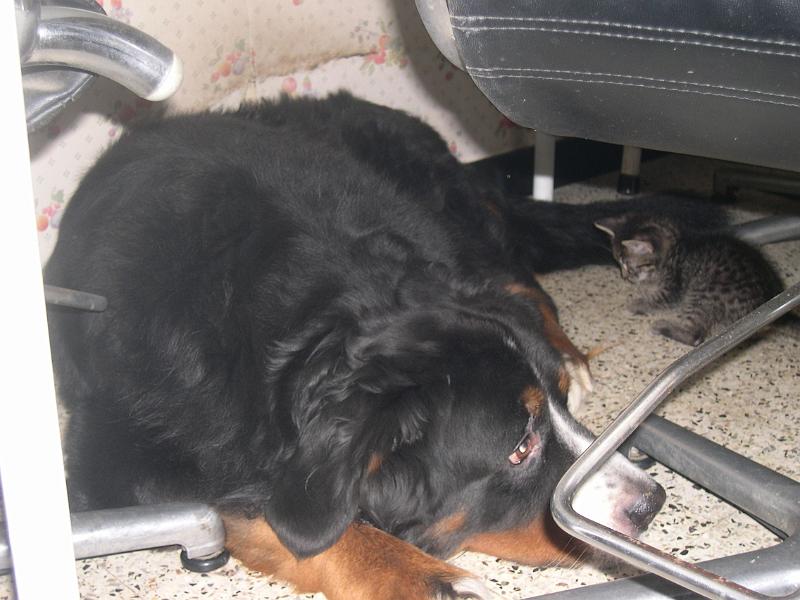 DSCN6420.JPG
