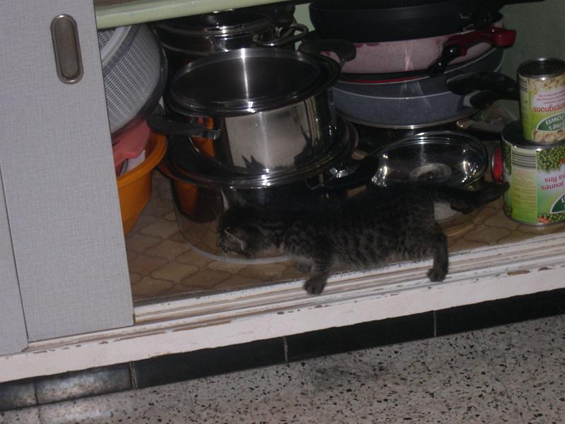 DSCN6423.JPG