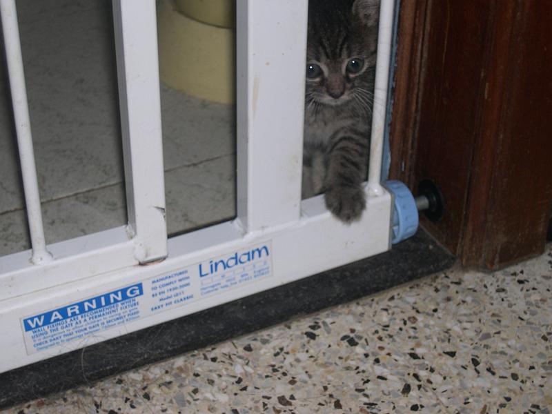 DSCN6433.JPG