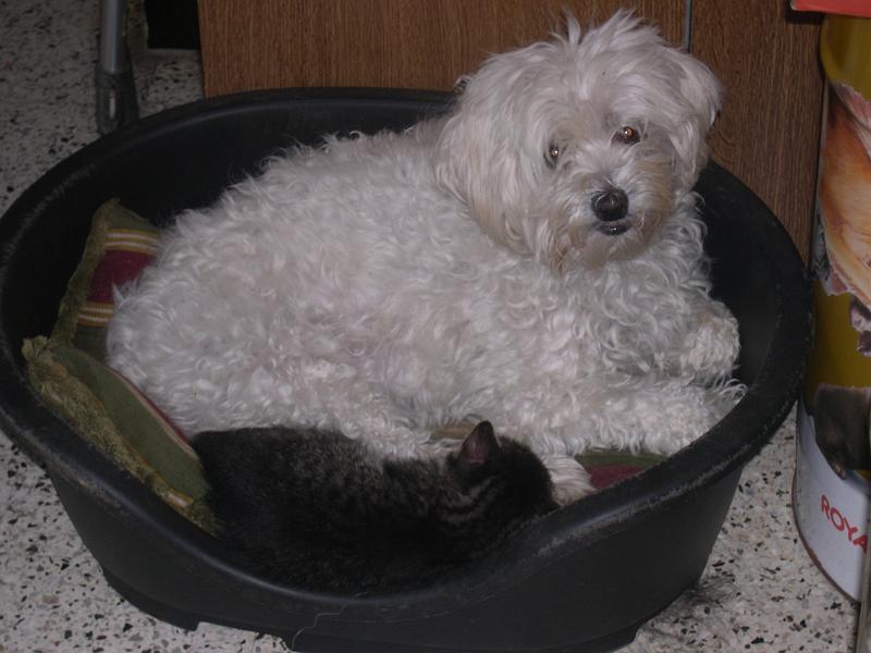 DSCN6434.JPG