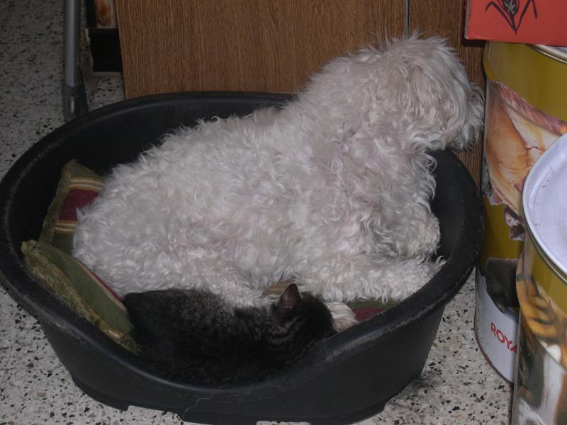 DSCN6435.JPG