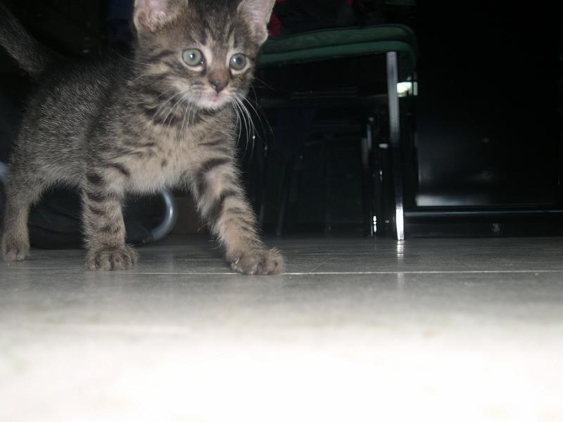 DSCN6446.JPG