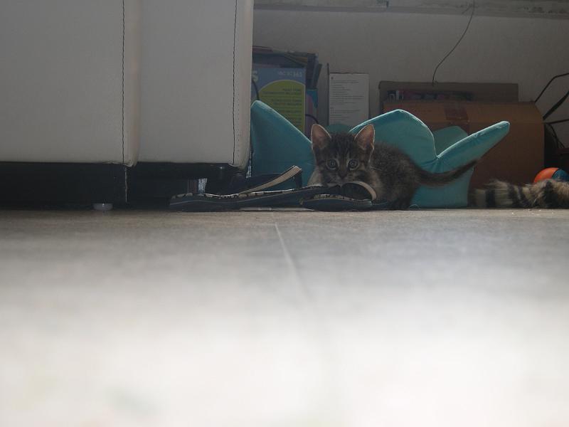 DSCN6447.JPG