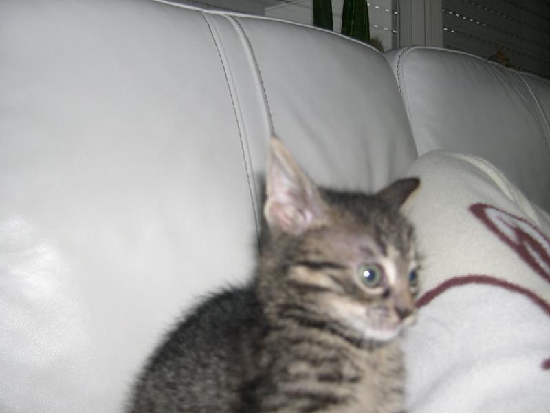 DSCN6467.JPG