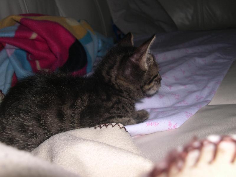 DSCN6470.JPG