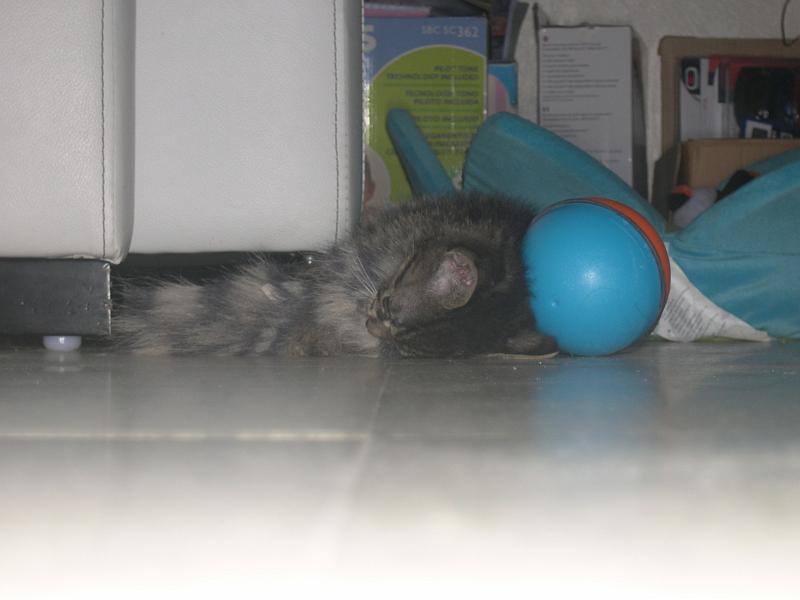 DSCN6486.JPG