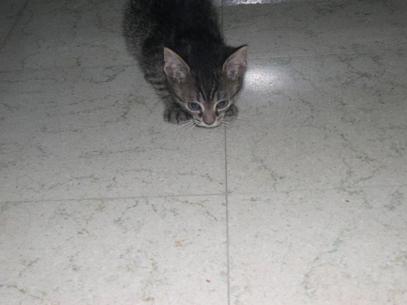 DSCN6488.JPG
