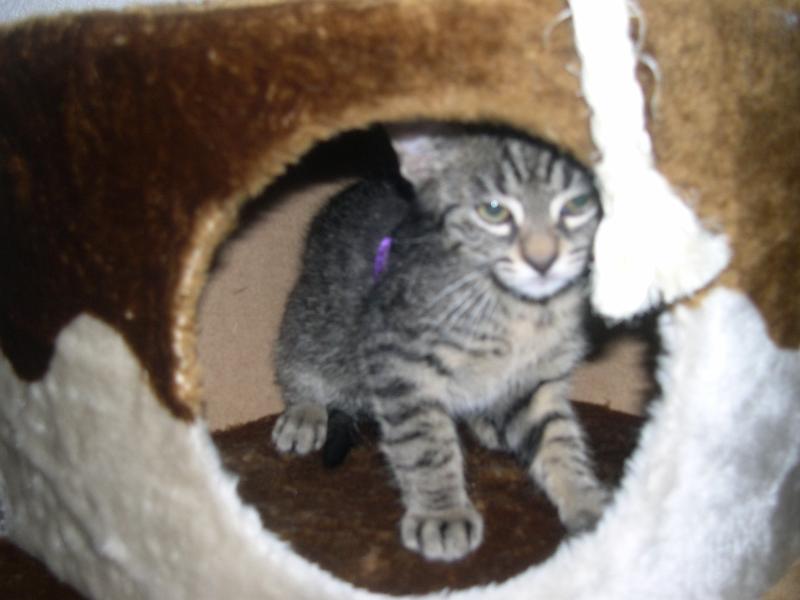 20100304_131.JPG