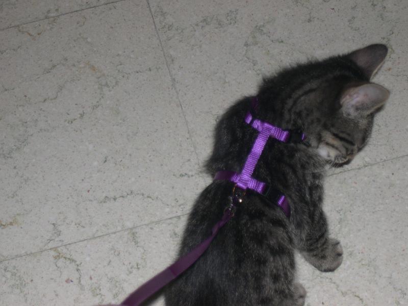 20100304_132.JPG