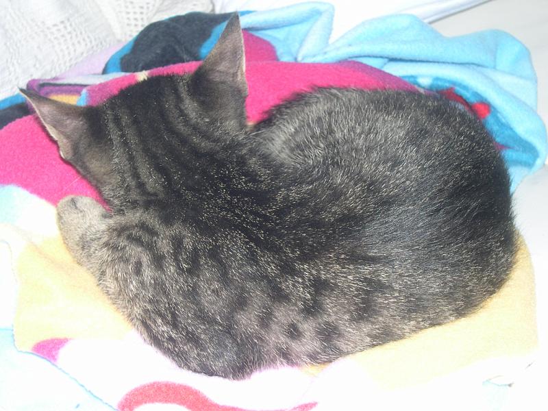 20100304_139.JPG