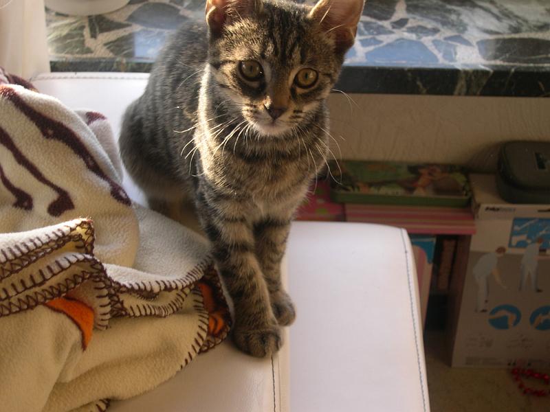 20100304_146.JPG