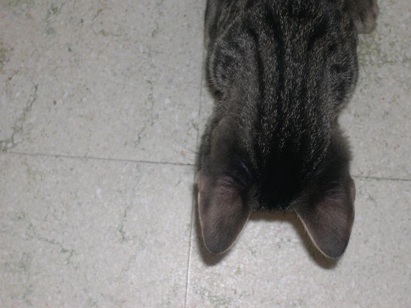20100304_149.JPG