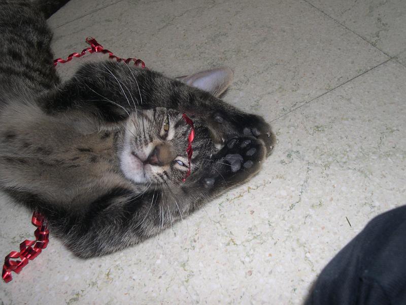 20100304_154.JPG