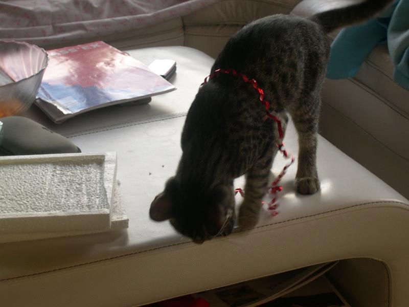 20100304_156.JPG