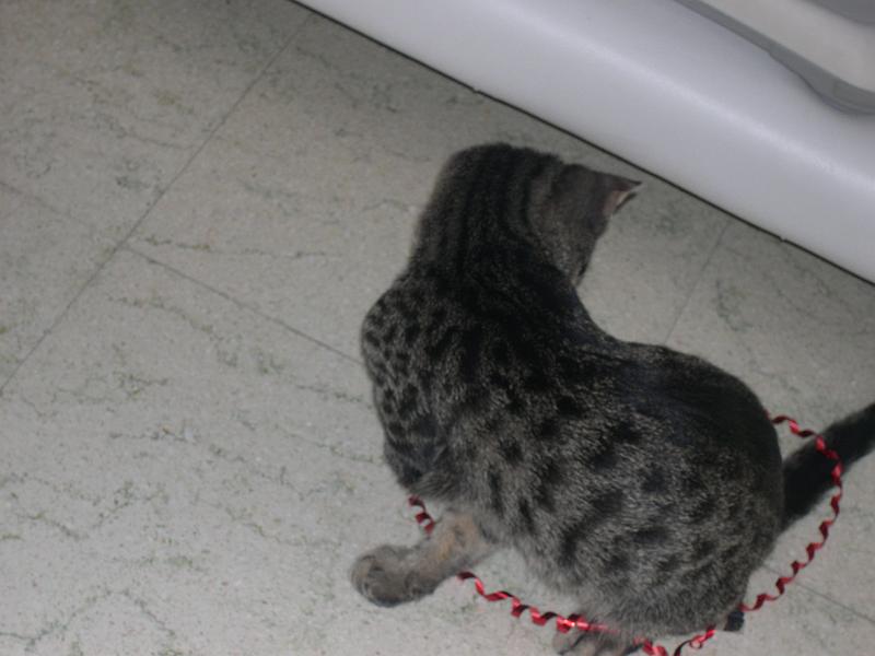 20100304_157.JPG