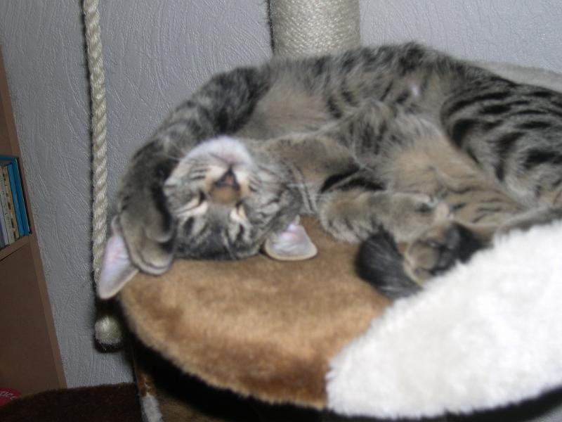 20100304_166.JPG