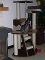 20100304_128
