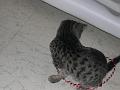 20100304_157